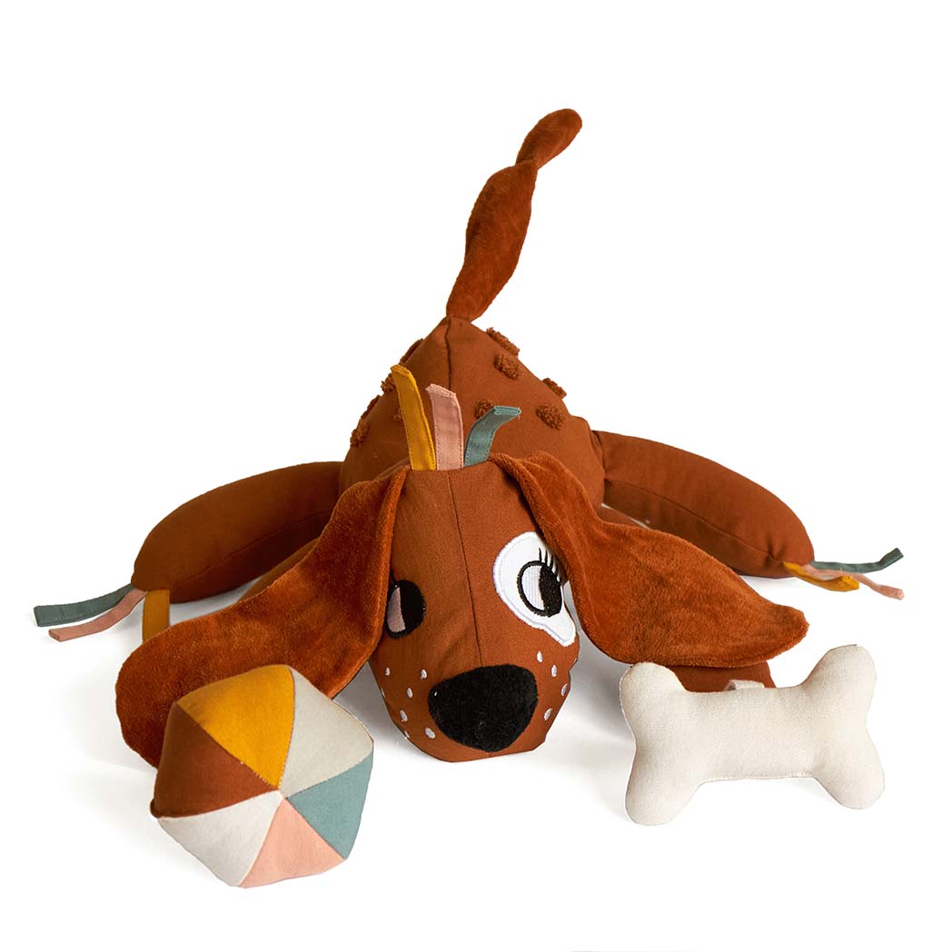 DOG ACTIVITY TOY