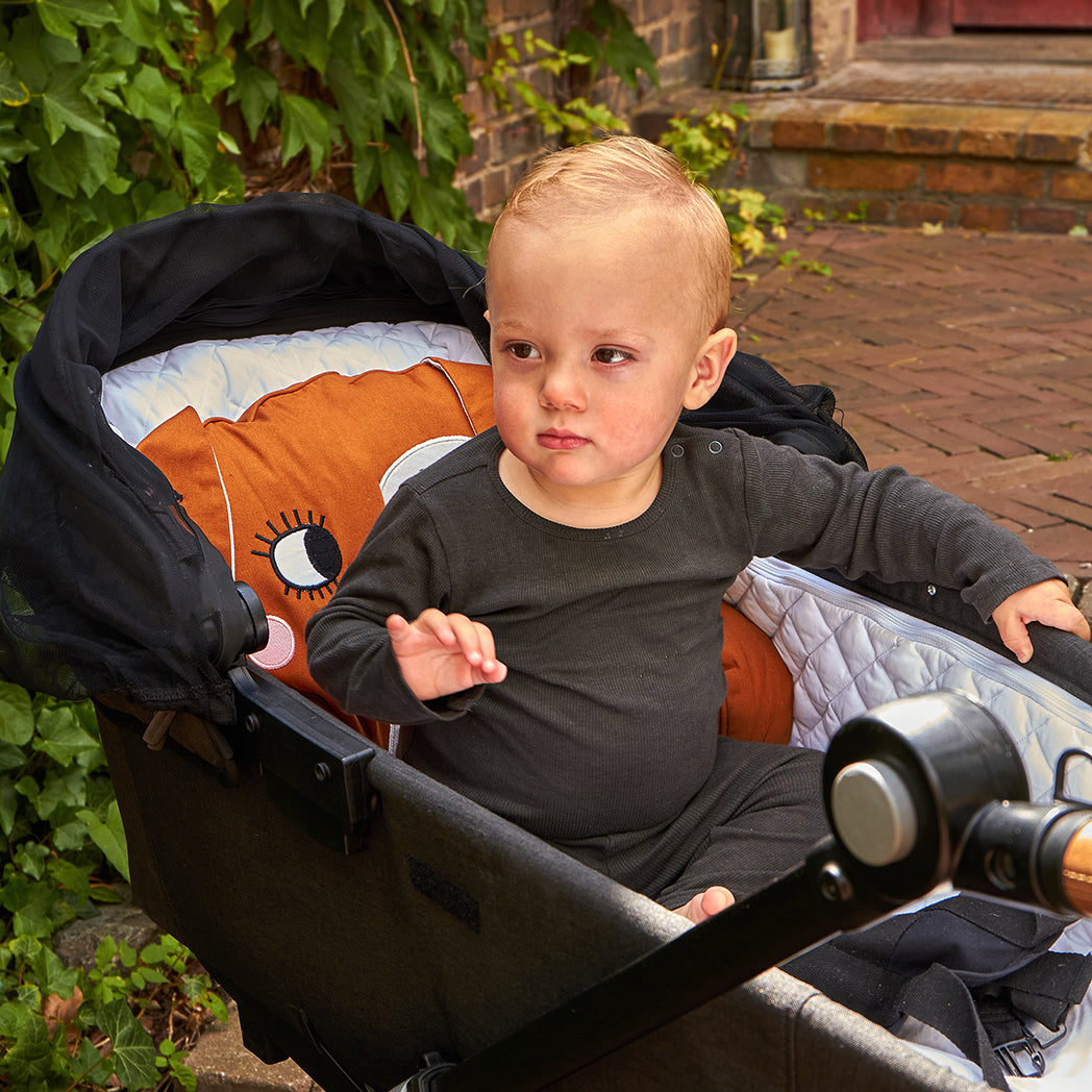 DOG PRAM CUSHION